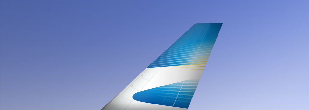 Aerolineas Argentinas banner