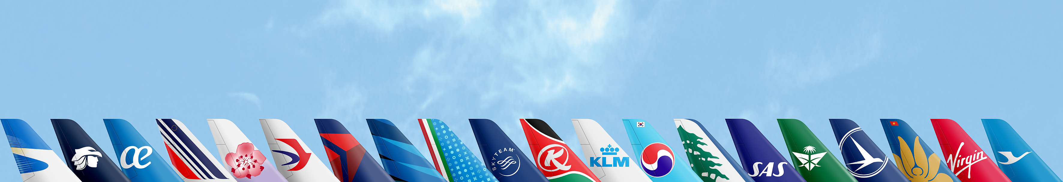 SkyTeam banner