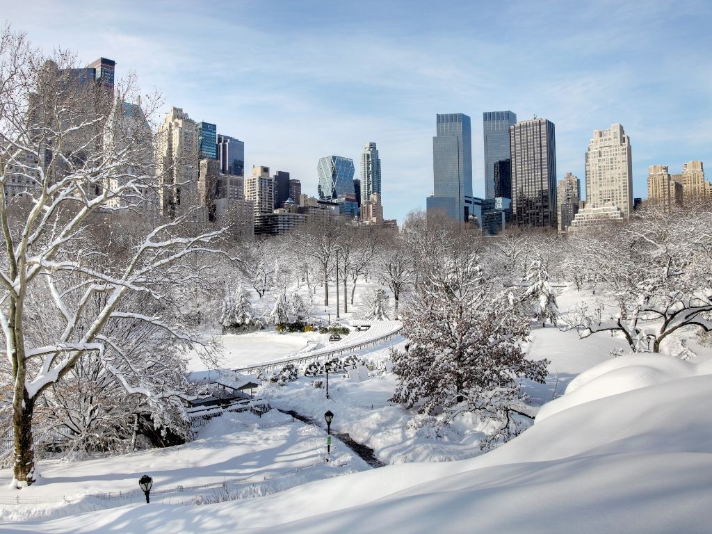 New York in winter