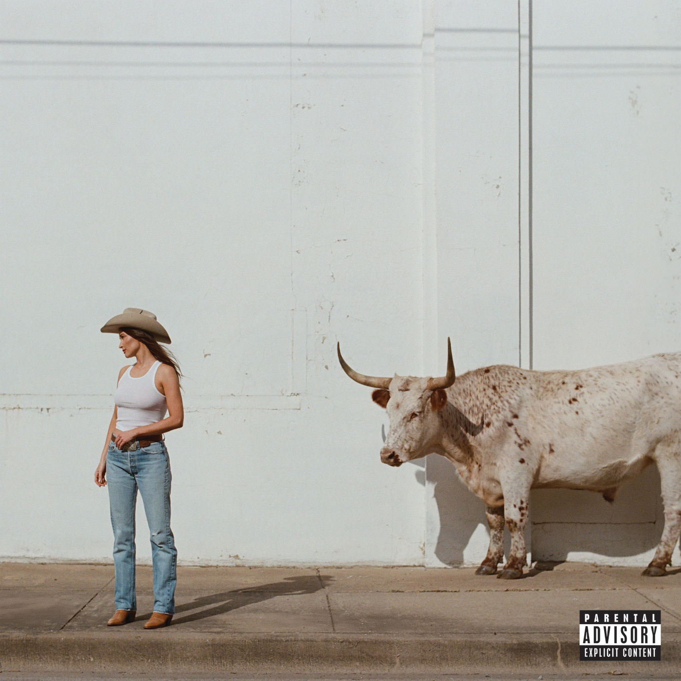Album cover of Kacey Musgraves - Middle of Nowhere