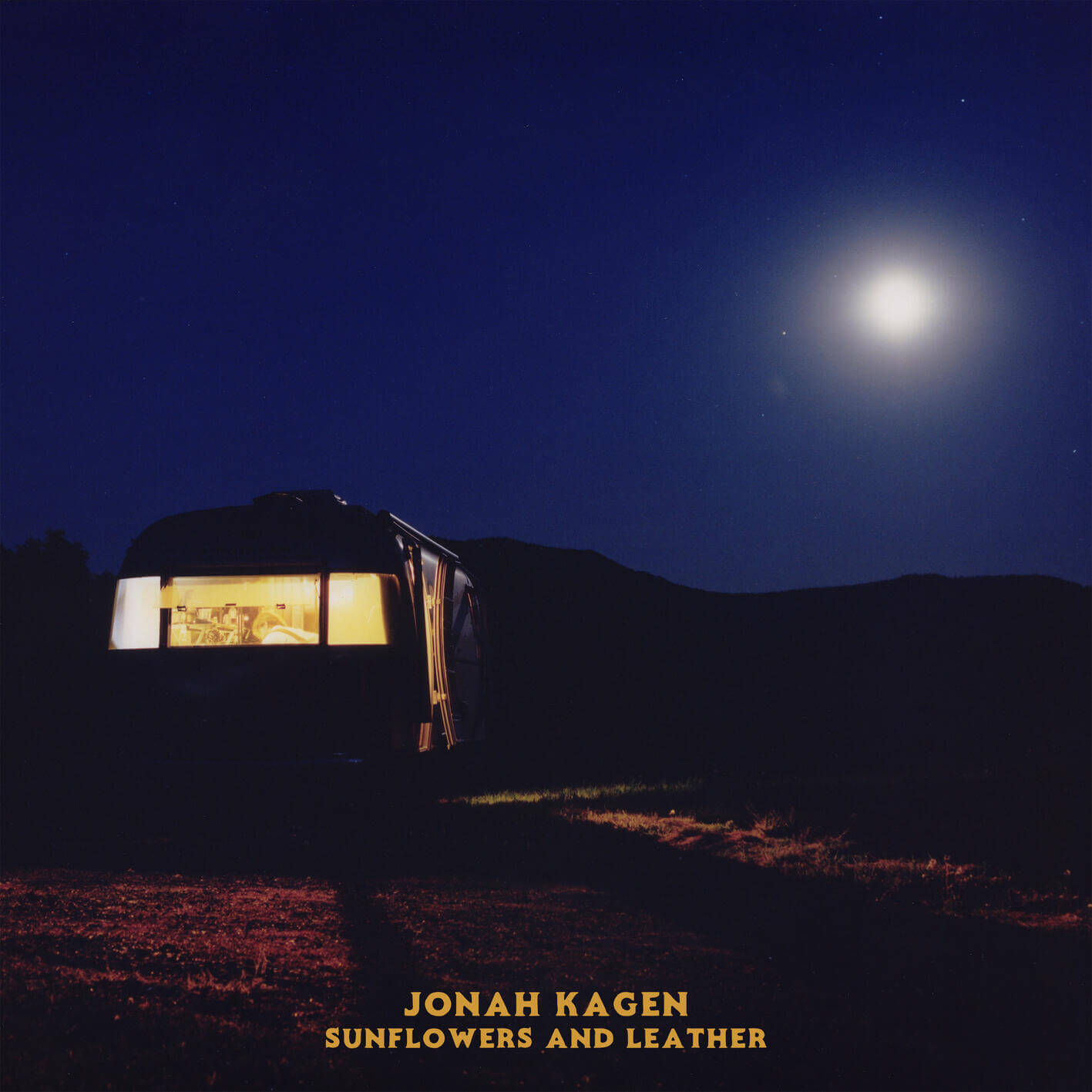 Jonah Kagen - Sunflowers and Leather album cover