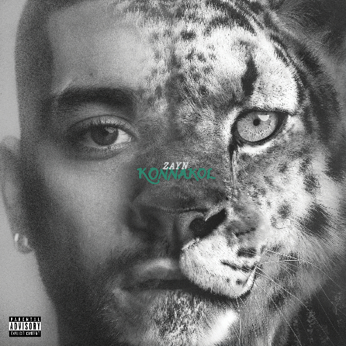 Album cover of Zayn - Konnakol