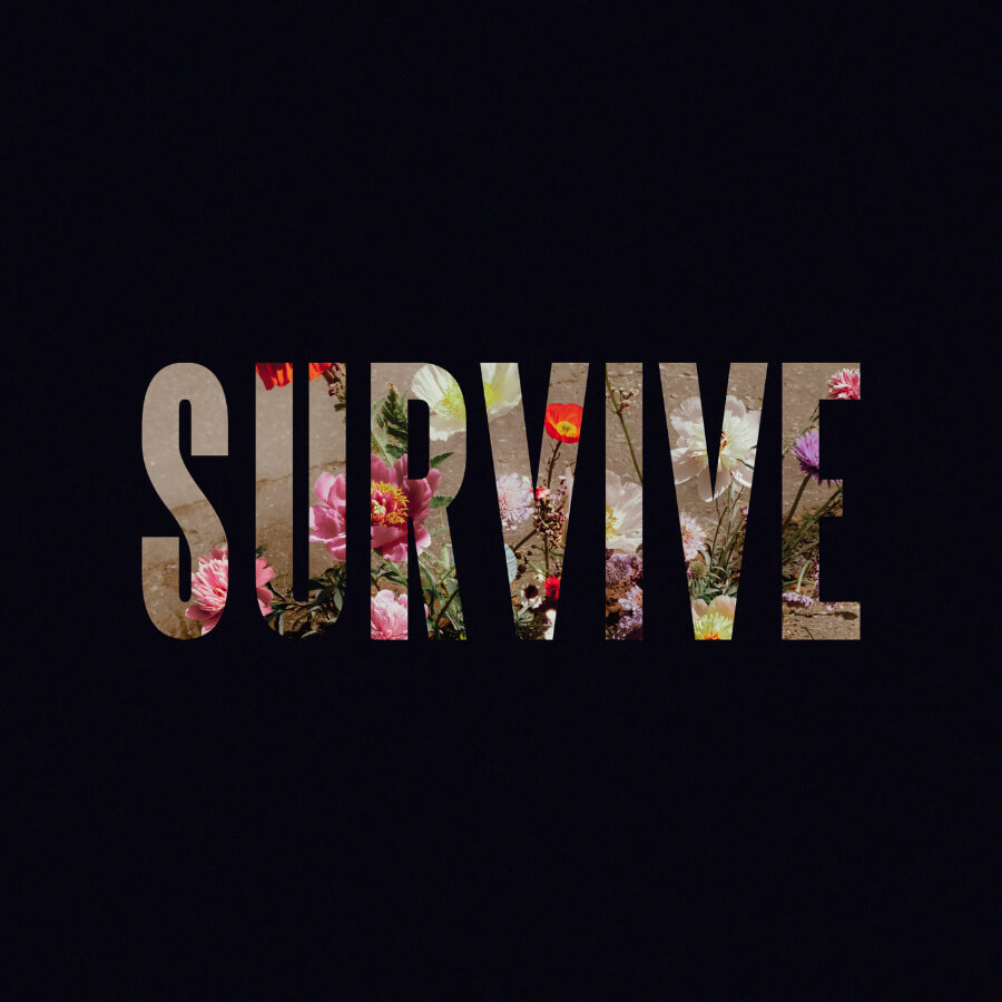 Album cover of Lewis Capaldi - Survive