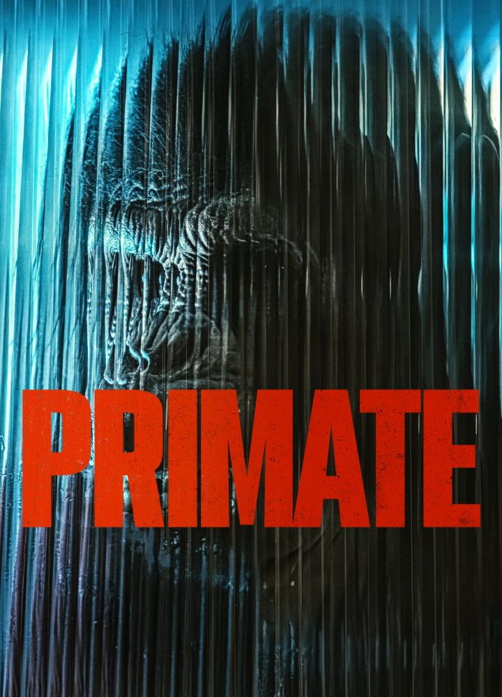 Primate