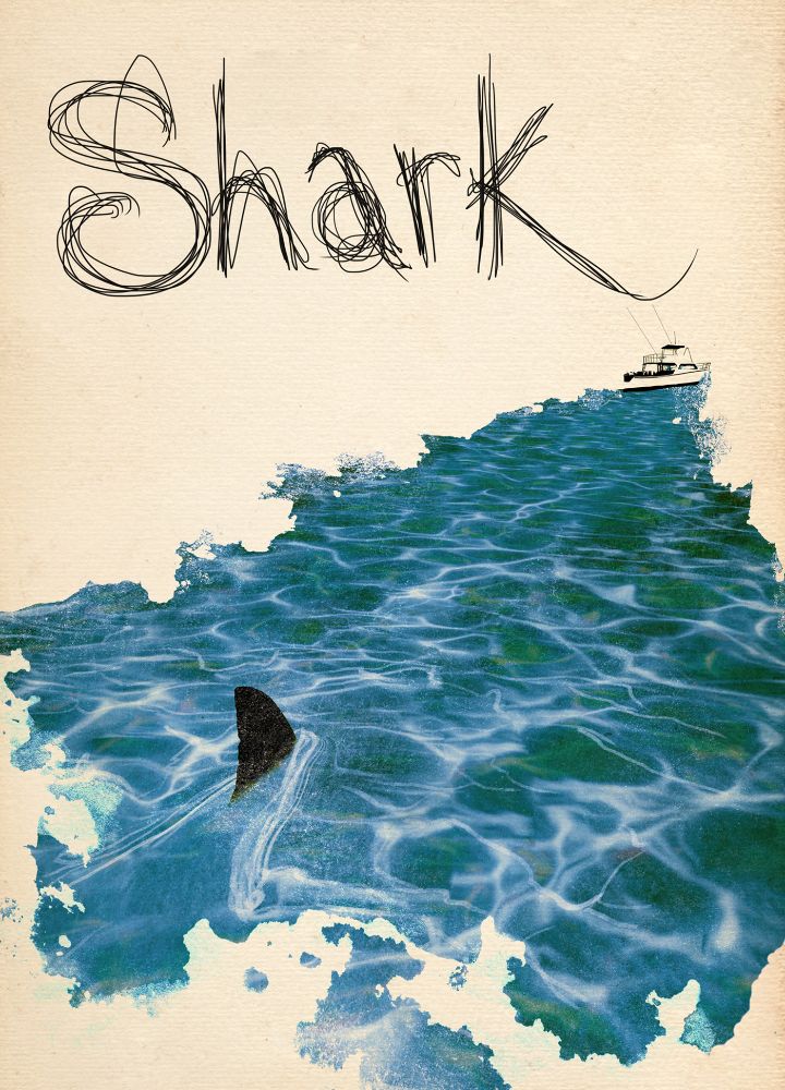 Shark