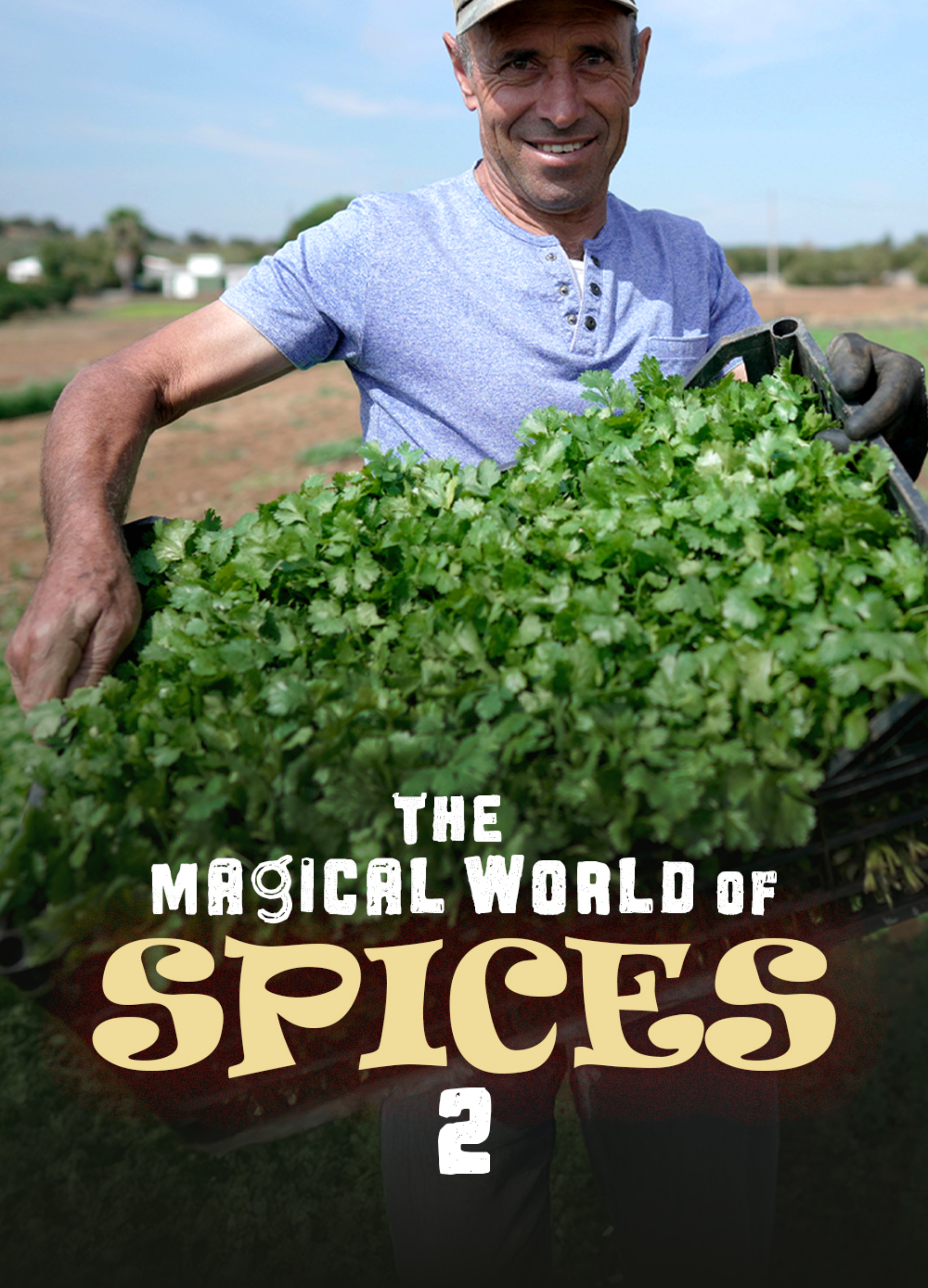 The magical World of Spices
