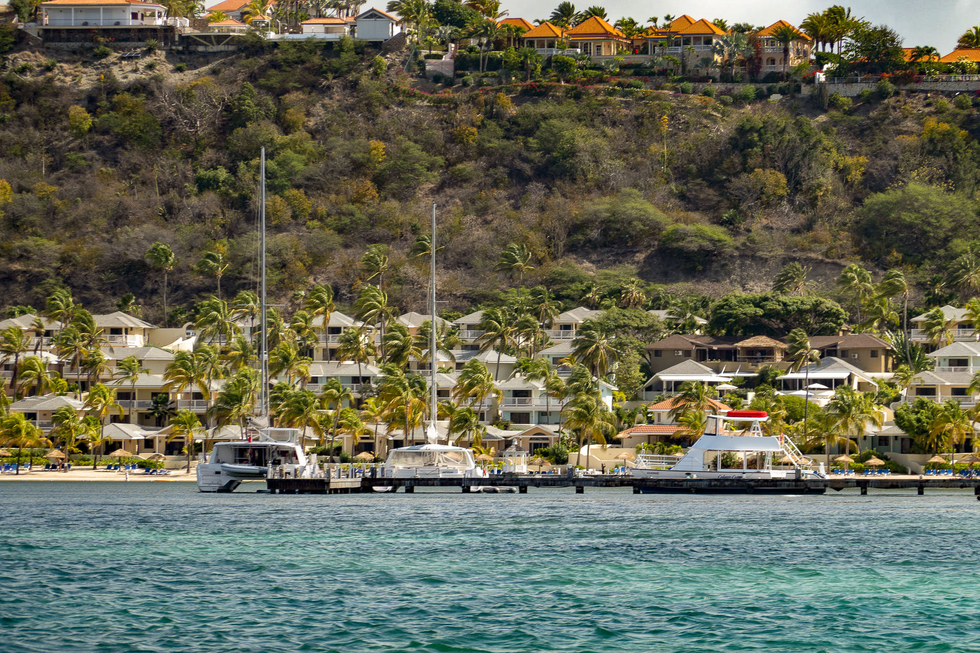 Sailing in Antigua