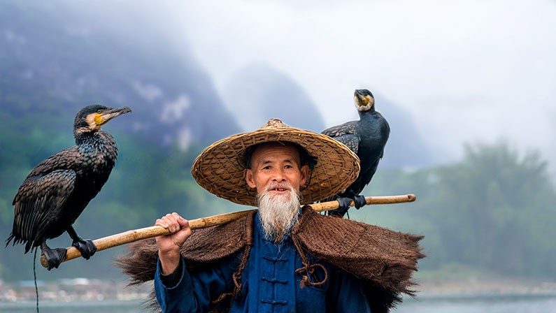 Watch the domesticated cormorant birds, first used over 400 years ago by local fishermen because of their excellent natural fishing abilities.