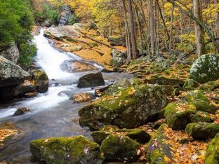 Beyond Atlanta: Visiting Great Smoky Mountains National Park