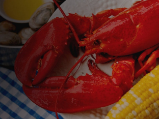 A gourmet guide to lobster season in Maine