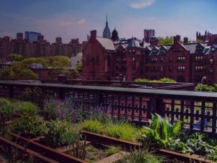 Friends of the High Line: Robert Hammond�s urban regeneration