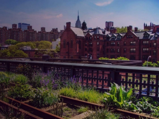 Friends of the High Line: Robert Hammond�s urban regeneration