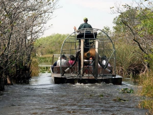 Gator baiting: Wild Orlando nature reserves