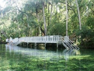 Wild swimming in Orlando:The best natural springs in Florida