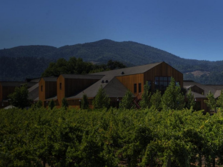 Dine among the vines: the best restaurants in Napa Valley