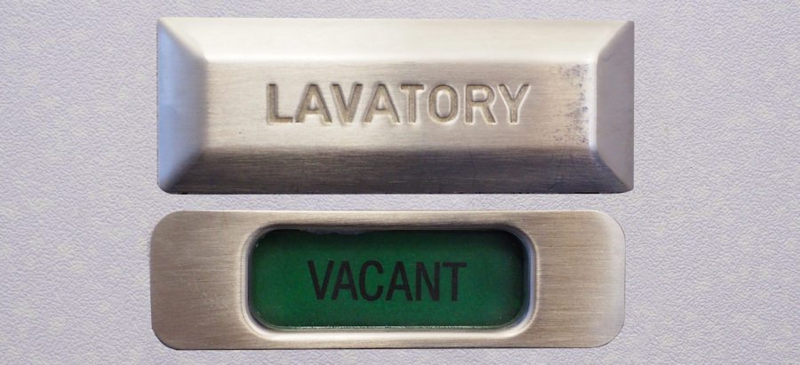 Aircraft lavatory vacant