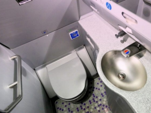 Toilet talk - facts and myths and the reason behind that noisy flush